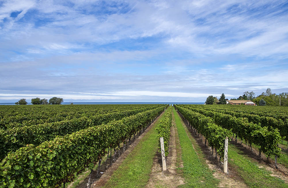 winery-notl